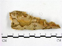 登錄號:F0000215藏品圖，第1張