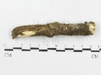 登錄號:F0000215藏品圖，第4張
