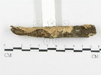 登錄號:F0000215藏品圖，第5張