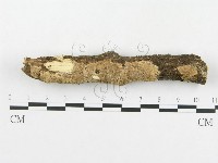 登錄號:F0000215藏品圖，第7張