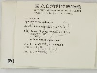 登錄號:F0000217藏品圖，第2張