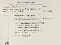 登錄號:F0000220藏品圖，第2張