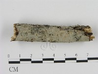 登錄號:F0000220藏品圖，第1張
