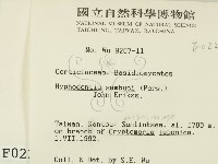 冇骨消絲齒菌藏品圖，第2張