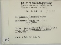 登錄號:F0000222藏品圖，第2張