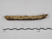 登錄號:F0000222藏品圖，第3張