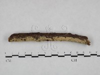 登錄號:F0000222藏品圖，第4張