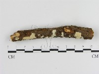 登錄號:F0000223藏品圖，第3張