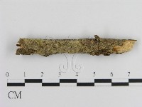 登錄號:F0000228藏品圖，第1張