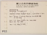登錄號:F0000230藏品圖，第2張
