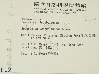登錄號:F0000231藏品圖，第2張