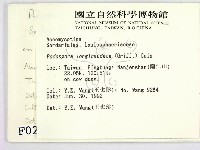 登錄號:F0000232藏品圖，第2張