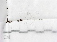 登錄號:F0000232藏品圖，第1張