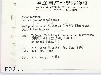 登錄號:F0000233藏品圖，第2張
