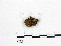 登錄號:F0000233藏品圖，第3張