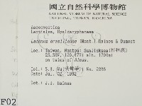 登錄號:F0000234藏品圖，第2張