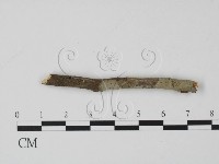 登錄號:F0000234藏品圖，第1張