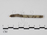 登錄號:F0000234藏品圖，第3張