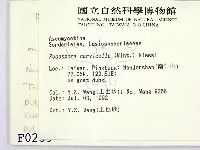 登錄號:F0000235藏品圖，第2張