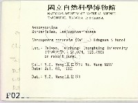 登錄號:F0000236藏品圖，第2張
