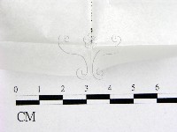 登錄號:F0000237藏品圖，第1張