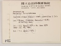 登錄號:F0000238藏品圖，第2張