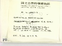 登錄號:F0000243藏品圖，第2張