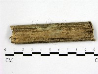 登錄號:F0000243藏品圖，第1張