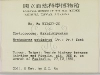 剛毛絲皮菌藏品圖，第2張