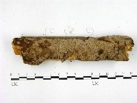 登錄號:F0000249藏品圖，第1張