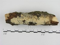 登錄號:F0000256藏品圖，第1張