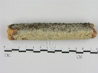 登錄號:F0000257藏品圖，第3張
