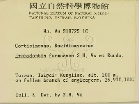 登錄號:F0000259藏品圖，第2張