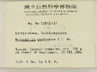 登錄號:F0000260藏品圖，第2張
