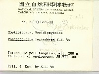 登錄號:F0000261藏品圖，第2張