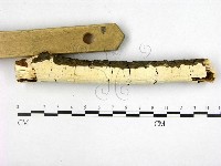 登錄號:F0000261藏品圖，第3張