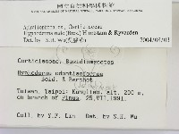 登錄號:F0000262藏品圖，第2張