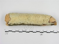 登錄號:F0000262藏品圖，第1張