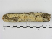 登錄號:F0000265藏品圖，第1張