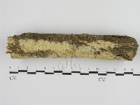 登錄號:F0000265藏品圖，第3張