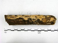 登錄號:F0000266藏品圖，第1張