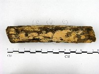 登錄號:F0000266藏品圖，第3張