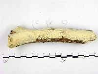 登錄號:F0000267藏品圖，第1張