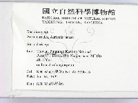 木耳屬藏品圖，第2張