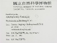 登錄號:F0000270藏品圖，第2張