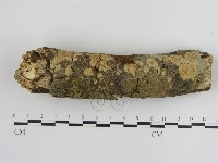 登錄號:F0000270藏品圖，第1張