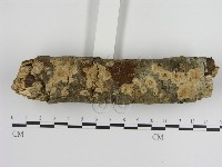 登錄號:F0000270藏品圖，第3張