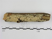 登錄號:F0000271藏品圖，第1張