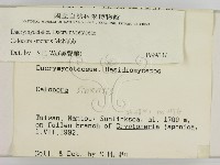 登錄號:F0000272藏品圖，第2張