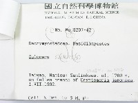 登錄號:F0000272藏品圖，第3張